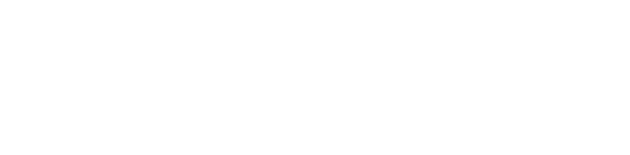 云深处 山猫