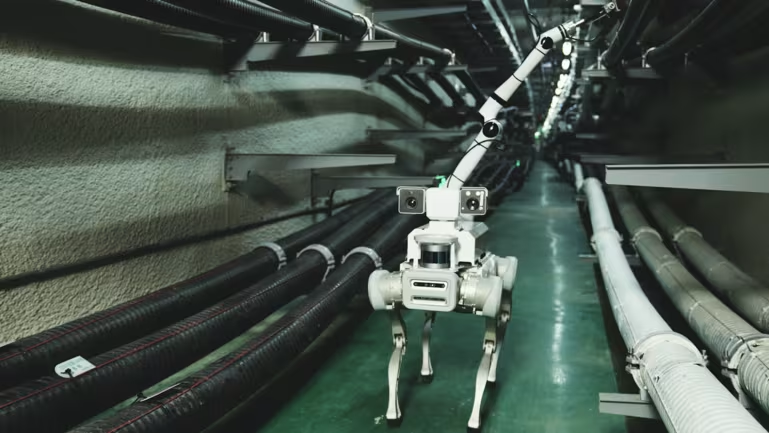 Quadruped Robot